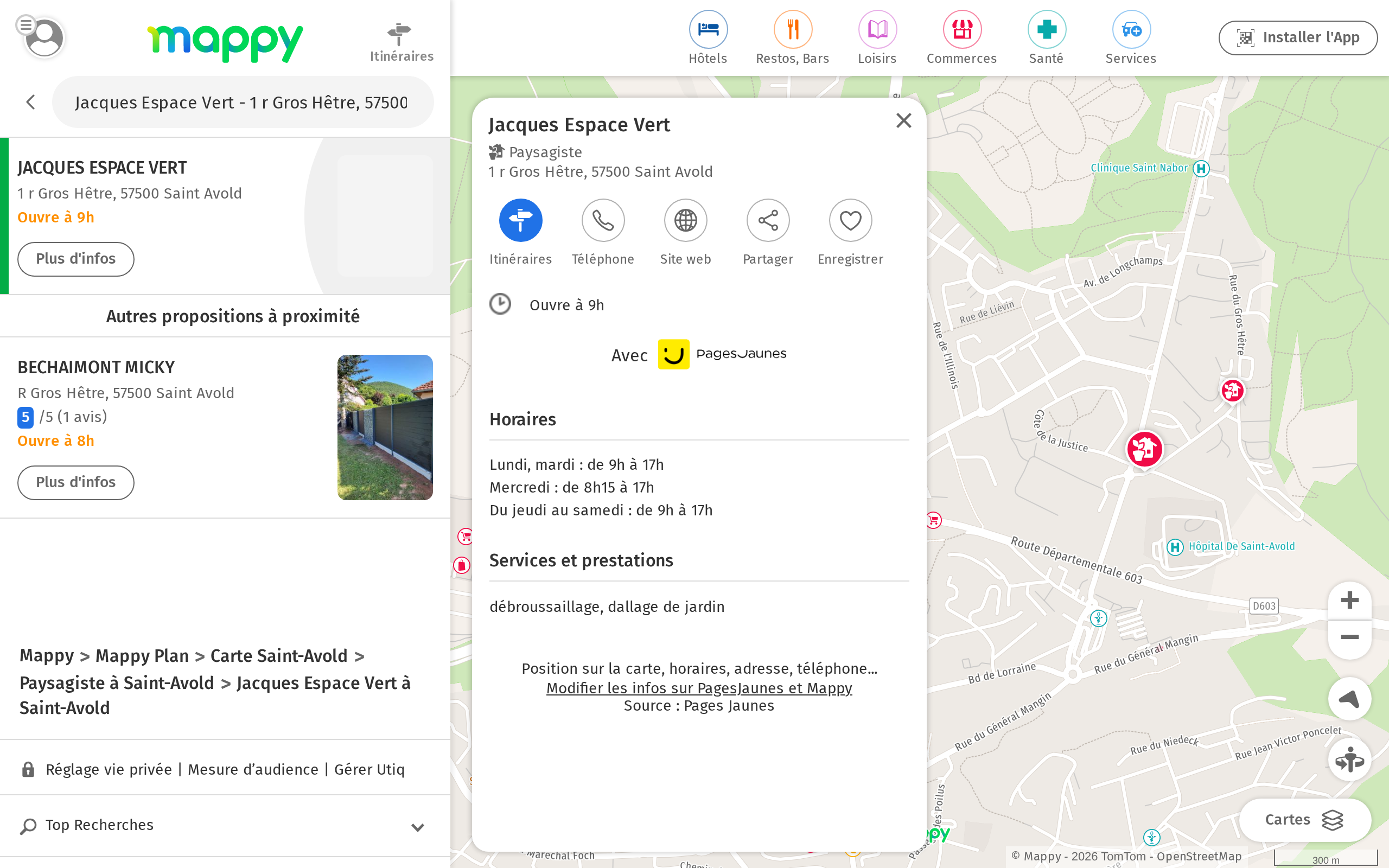 Aperçu du site JACQUES ESPACE VERT