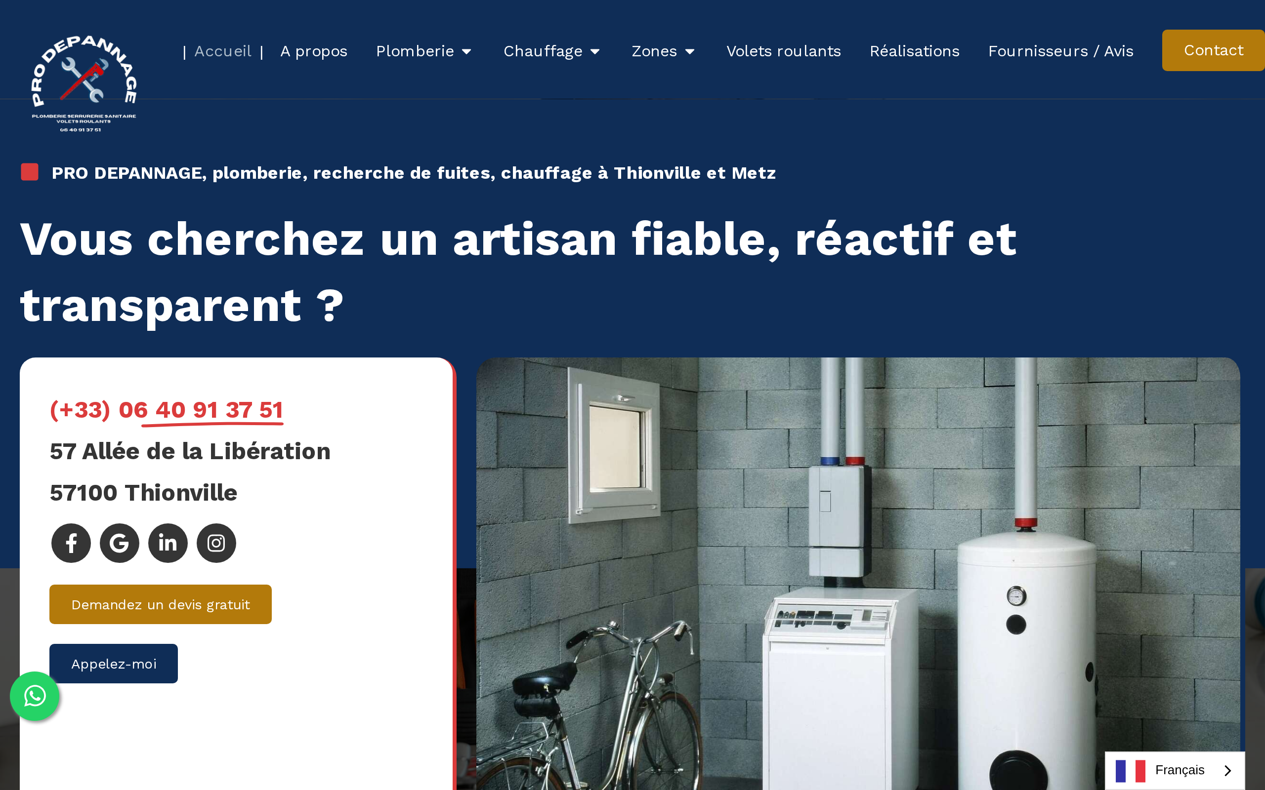 Aperçu du site PRO DEPANNAGE