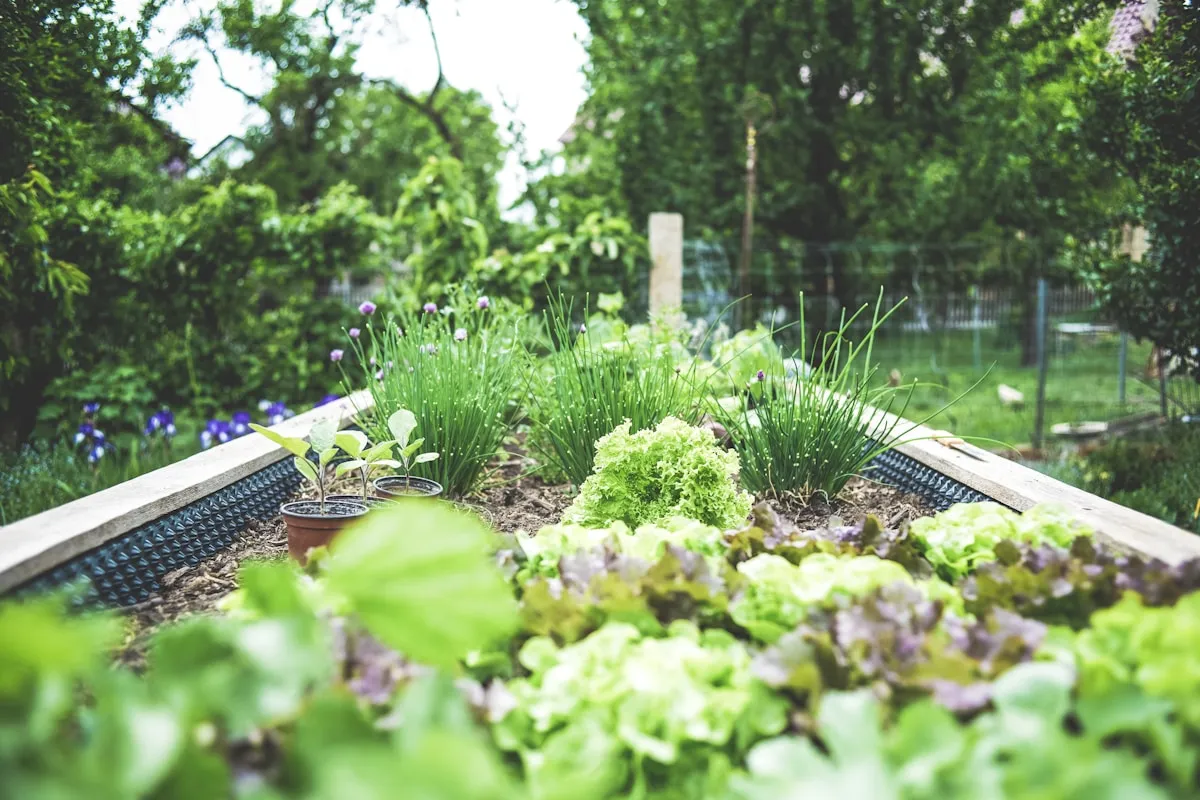 Cuve à eau : guide complet, comparatif et avis pour fermes